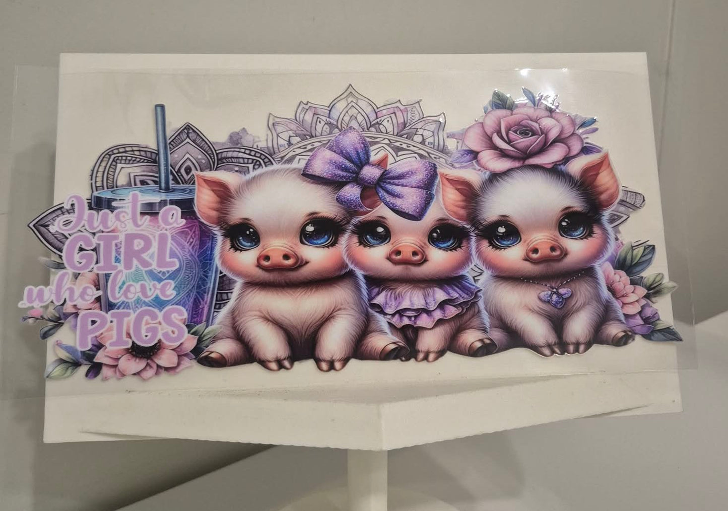 Just a girl who loves pigs