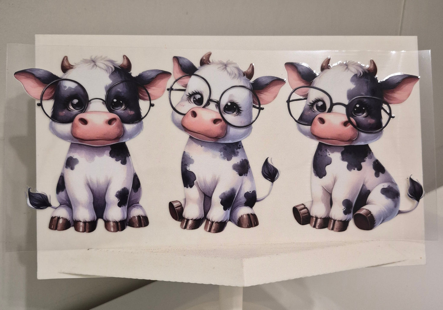 Cow with shades